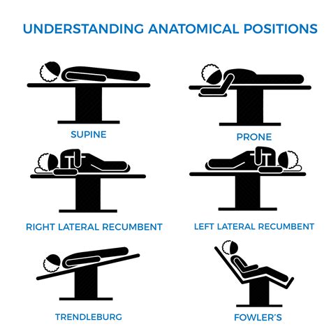 Types of Positions .